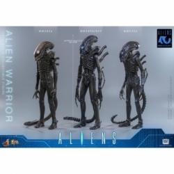 Alien Warrior van Hot Toys Collector version - MMS898 - Aliens 1/6 schaal actiefiguur