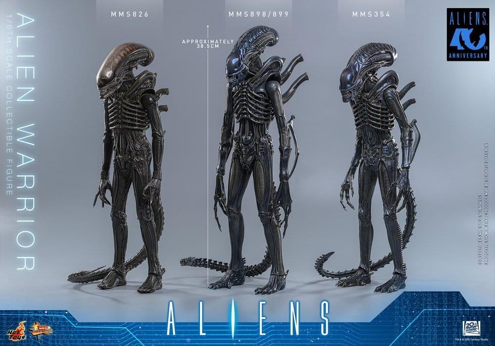 Alien Warrior di Hot Toys Collector version - MMS898 - action figure Aliens in scala 1/6