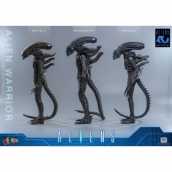 Alien Warrior von Hot Toys Collector version - MMS898 - Aliens 1/6 Maßstab Actionfigur