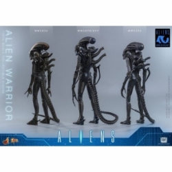 Alien Warrior von Hot Toys Collector version - MMS898 - Aliens 1/6 Maßstab Actionfigur