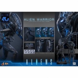 Alien Warrior Collector by Hot Toys - MMS898 - Aliens 1/6 scale action figure