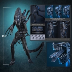 Alien Warrior Collector by Hot Toys - MMS898 - Aliens 1/6 scale action figure