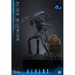 Alien Warrior Deluxe by Hot Toys - MMS899 - Aliens 1/6 scale action figure