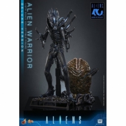 Alien Warrior Deluxe by Hot Toys - MMS899 - Aliens 1/6 scale action figure