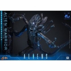 Alien Warrior Deluxe by Hot Toys - MMS899 - Aliens 1/6 scale action figure