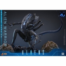 Alien Warrior Deluxe by Hot Toys - MMS899 - Aliens 1/6 scale action figure