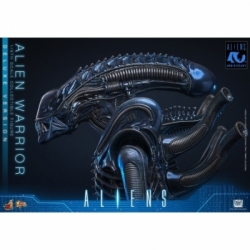 Alien Warrior di Hot Toys Deluxe version - MMS899 - action figure Aliens in scala 1/6