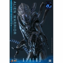 Alien Warrior di Hot Toys Deluxe version - MMS899 - action figure Aliens in scala 1/6