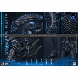 Alien Warrior Deluxe by Hot Toys - MMS899 - Aliens 1/6 scale action figure