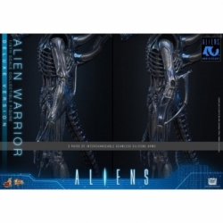 Alien Warrior Deluxe by Hot Toys - MMS899 - Aliens 1/6 scale action figure