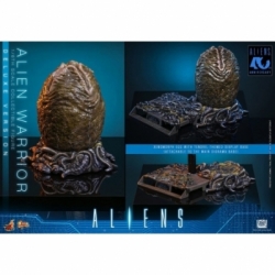 Alien Warrior von Hot Toys Deluxe version - MMS899 - Aliens 1/6 Maßstab Actionfigur