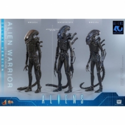 Alien Warrior Deluxe par Hot Toys - MMS899 - figurine 1/6 Aliens de 39 cm