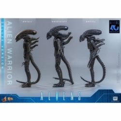 Alien Warrior Deluxe by Hot Toys - MMS899 - Aliens 1/6 scale action figure