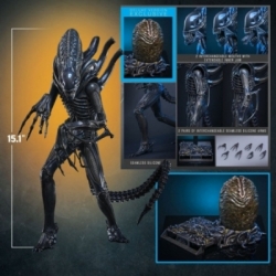 Alien Warrior Deluxe by Hot Toys - MMS899 - Aliens 1/6 scale action figure