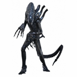 Alien Warrior Deluxe by Hot Toys - MMS899 - Aliens 1/6 scale action figure