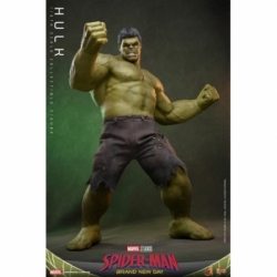 Hulk von Hot Toys - MMS905 - Spider-Man: Brand New Day 1/6 Maßstab Actionfigur