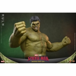 Hulk par Hot Toys - MMS905 - figurine 1/6 Spider-Man: Brand New Day de 51 cm