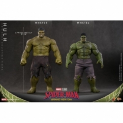 Hulk par Hot Toys - MMS905 - figurine 1/6 Spider-Man: Brand New Day de 51 cm