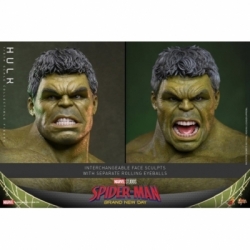 Hulk von Hot Toys - MMS905 - Spider-Man: Brand New Day 1/6 Maßstab Actionfigur