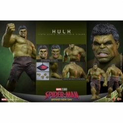 Hulk von Hot Toys - MMS905 - Spider-Man: Brand New Day 1/6 Maßstab Actionfigur