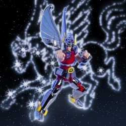 Pegasus Seiya (1st Bronze Cloth) Saint Cloth Series von Bandai Tamashii Nations Cloth Box Limited version - Actionfigur