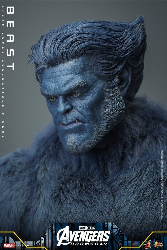 Le Fauve Collector par Hot Toys - MMS920 - figurine 1/6 Avengers - Doomsday de 33 cm