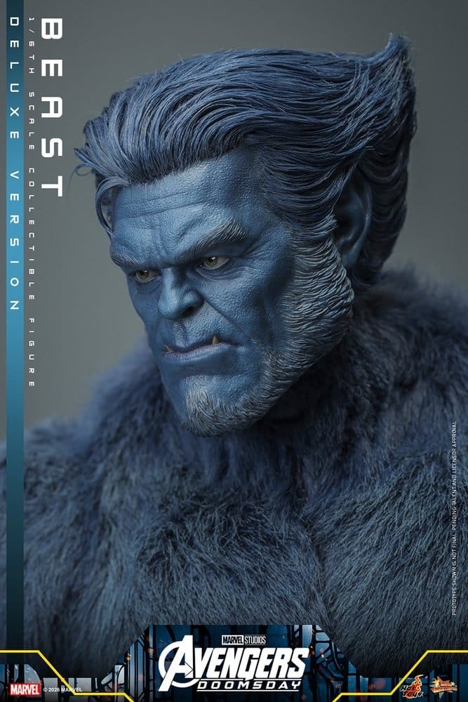 Beast van Hot Toys Deluxe - MMS921 - Avengers - Doomsday 1/6 schaal actiefiguur